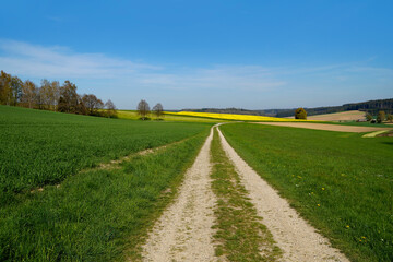 endless road leading through the green fields of the tranquil Bavarian countryside by the Rechbergreuthen village on a sunny spring day (Winterbach, Guenzburg, Bavaria, Germany)	