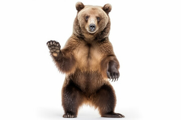 Powerful Majestic Bear Pose. Impressive picture of a big brown bear standing up on hind legs, isolated on a white background. Wildlife concept AI Generative - obrazy, fototapety, plakaty