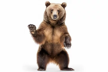 Fotobehang Powerful Majestic Bear Pose. Impressive picture of a big brown bear standing up on hind legs, isolated on a white background. Wildlife concept AI Generative © Mr. Bolota