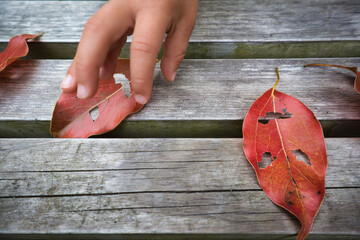 可愛い幼児の手と葉っぱを切り取った落葉モンスター