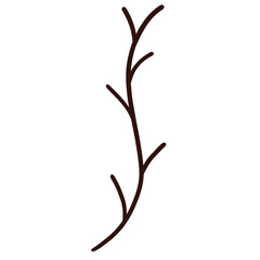 Plant Branch