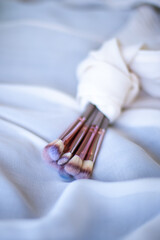 Tools for women's makeup, brushes for applying powder, eye shadow and lip gloss on a delicate background. Makeup brushes. Makeup. Nude.