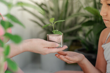 hand of a latin mother handing a small daughter a garden plant.