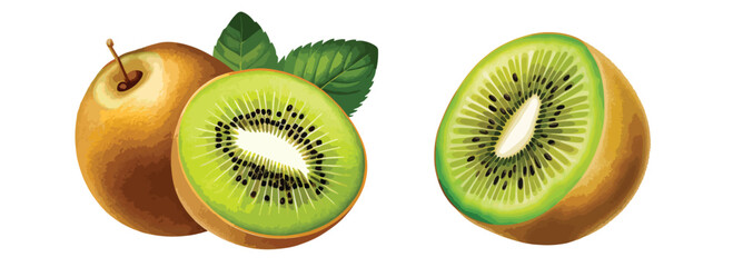 Set of fresh kiwi fruit, cut slice illustration isolated on white background
