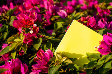 yellow square paper note in a bush with bright red flowers with empty free space for template or blank copy area