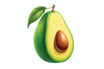 avocado illustration, cut avocado isolated on white background