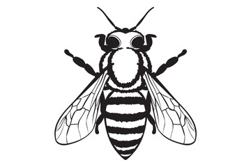 Bee SVG, Honeybee Svg, Queen Bee svg, Handwritten Bee Svg, Bumble Bee Svg, Honey Bee Svg, Queen Bee Svg, bee, insect, animal, flying, fly, cute, wings, wing, bumblebee, bumble, honeybee, bug, black