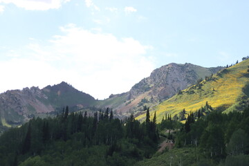 Fototapeta premium Moutains