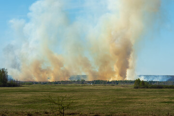 Fototapeta na wymiar Raging bushfire beyond the horizon, fire threatens homes standing on the edge of the forest