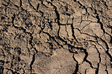 Cracked brown soil in the desert isolated, close-up