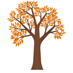 Naklejka na ściany i meble Autumn Tree. Vector Illustration Isolated on White Background. 