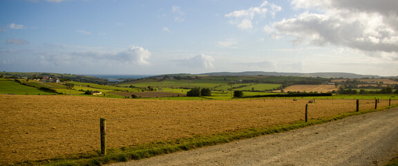 Agricultural fields of Ireland under the blue sky on a summer evening. A country road near a fenced field.