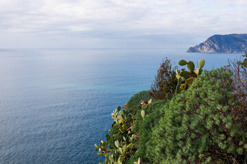 Costa Ligure, Cinque Terre