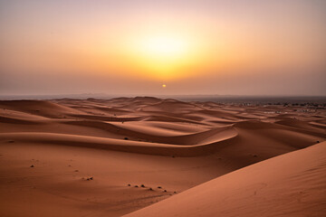 sunrise in the desert - obrazy, fototapety, plakaty