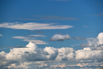 Bright landscape of white puffy cumulus clouds on blue clear sky