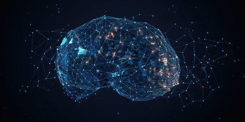 Human brain is surrounded by a network of polygons