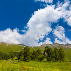 Fototapeta na wymiar beautiful green mountain valley landscape