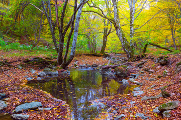 small river in autumn mountain canyon, seasonal mountain travel scene