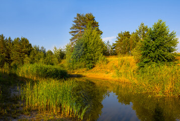 small calm lake in the forest