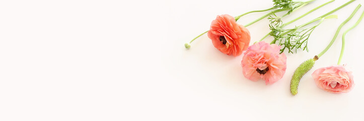 Top view image of pink flowers composition over white isolated background