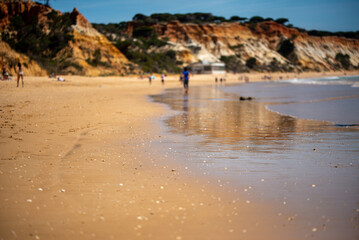 Collection of photos with theme beach