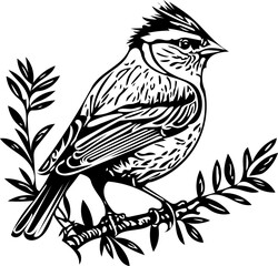 Black and white vector illustration of a sparrow sitting on a twig