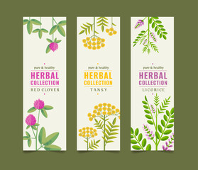 Organic Collection, Eco Shop, Natural Cosmetic Store with Premium Quality Cards or Posters Set. Selling Products Advertisement. Natural Design with Leaves in Different Colors. Herbs.