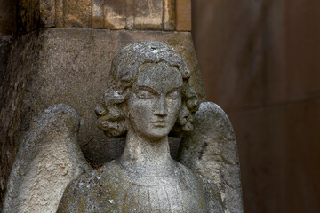 Somnolencia trascendente