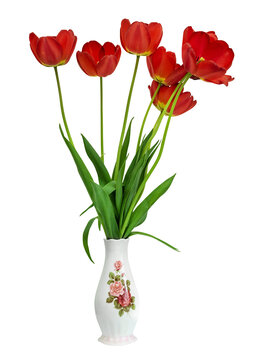 Red tulips in a vase on a white background. flower isolate