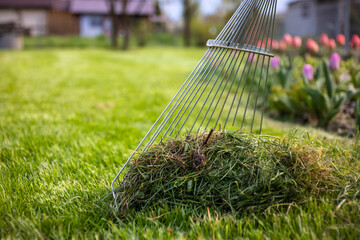 Gardening tools on the green grass in the garden. Gardening concept.