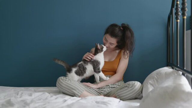 Woman petting cat on sofa in living room. Female owner stroking grey kitten. Furry pedigreed pet relaxing and purring. Young beautiful Asian woman relaxing and playing with her lovely cat on bed in