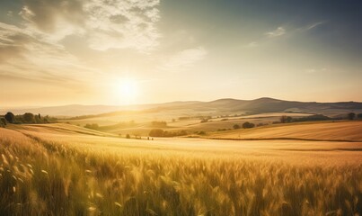 Obraz premium the sun is setting over a field of wheat in the countryside. generative ai