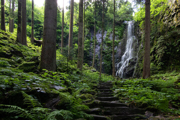 The Burgbach Waterfall in the coniferous forest falls over granite rocks into the valley near Bad Rippoldsau-Schapbach, landscape shot in nature, Black Forest, Germany.