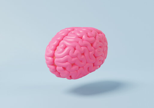 3D brain icon innovation creative idea, invention creativity learning concept. light bulb human cerebral anatomical model science on soft blue sky background. anatomy education. 3d render illustration