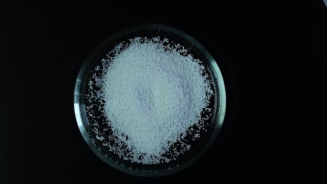 Food additive E211. White crystalline powder, chemical formula C6H5COONa. Sodium benzoate, sodium salt of benzoic acid, top view. 