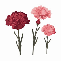 A pack of minimalist carnation flower stickers in shades of pink and red.