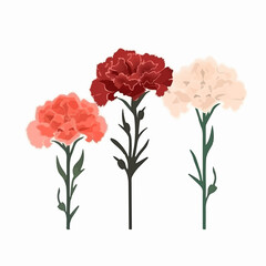 A pack of festive carnation flower stickers with bright, bold colors.