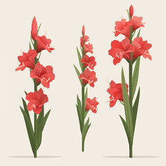 A collection of minimalistic gladiolus flower illustrations with clean lines and simplicity. - obrazy, fototapety, plakaty