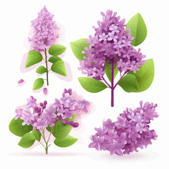 Vector set showcasing the beauty and elegance of lilac flowers.