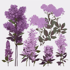 Collection of vibrant lilac illustrations inspired by nature's beauty.