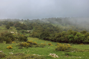Fototapeta na wymiar Beautiful landscape with fog on the top of Mount Meron