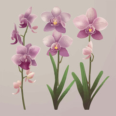 Collection of whimsical orchid illustrations in vector format.