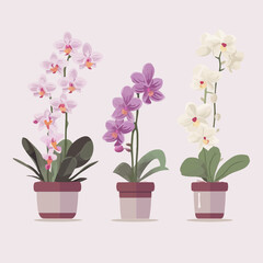 Naklejka na ściany i meble Collection of intricate orchid illustrations inspired by nature.