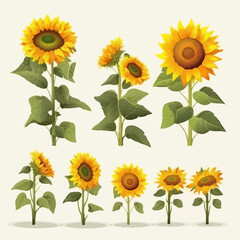 Vector pack featuring a variety of sunflower graphic elements.