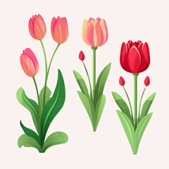 Vector set showcasing the grace and elegance of tulip flowers.