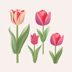 Vector pack featuring stunning tulip illustrations.
