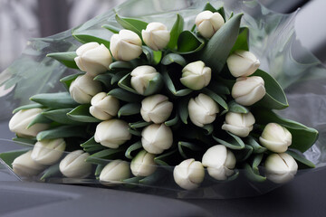 A huge bouquet of painful tulips in the car. Horizontal picture close up