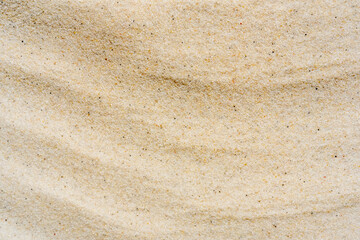 Macro close up sand texture. Background from fine sand.