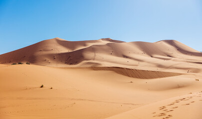 Landscape of sand dune with blue sky- travel in Morocco, tour tourism in Sahara desert