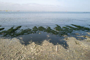 Une plage polluée à Dakar au Sénégal en Afrique 